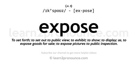 EXPOSÉ definition and meaning .